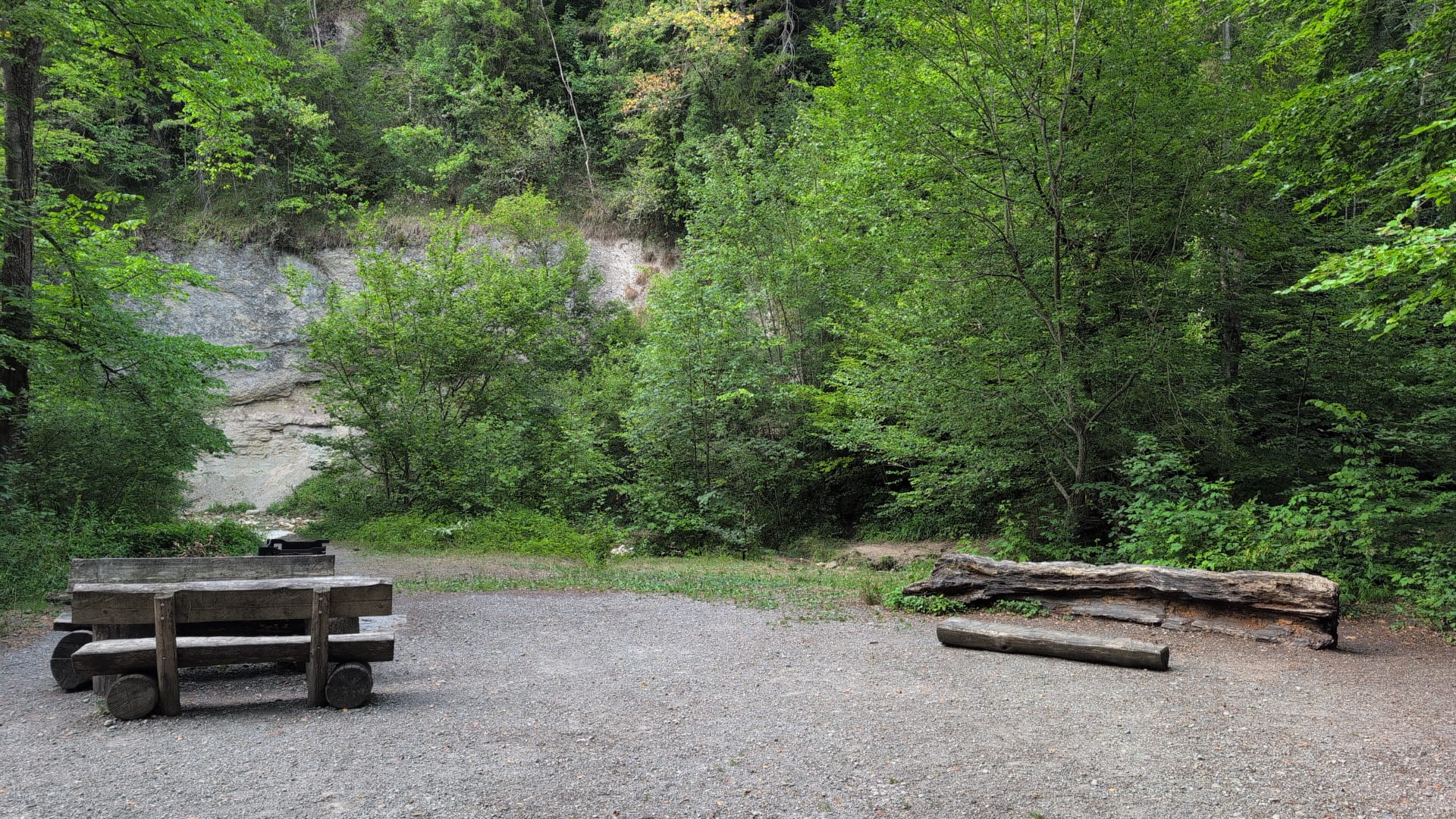 Grillplatz am Weiher mit Holzbänken, Tisch und Feuerstelle im Wald