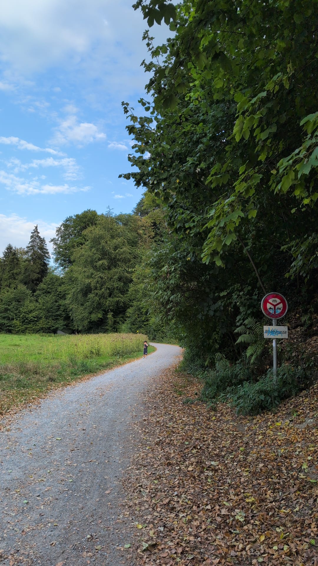 Beginn der Waldstrasse mit Wegweiser Richtung Wald und Grillplatz